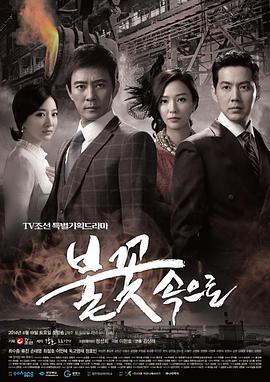 专业网站优化效果如何